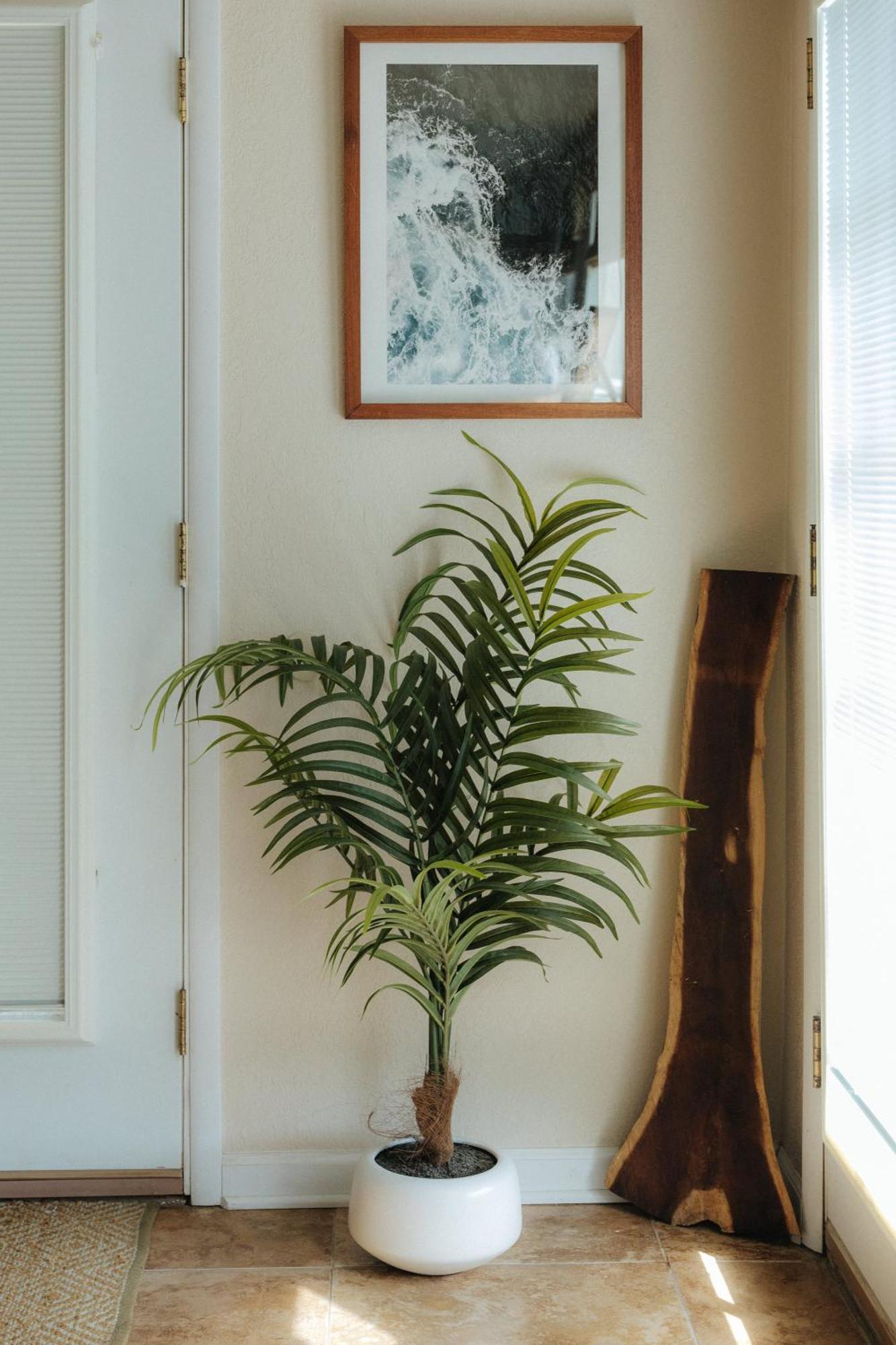 Апартаменты The Ohia At The Koi House Каилуа-Кона Экстерьер фото
